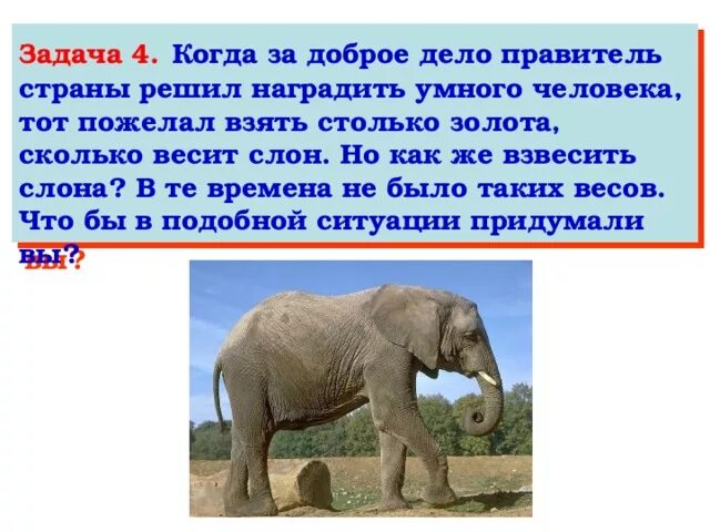 Сколько весит слон. Задачи про слонов. Слон весит как что. Взвесить слона.