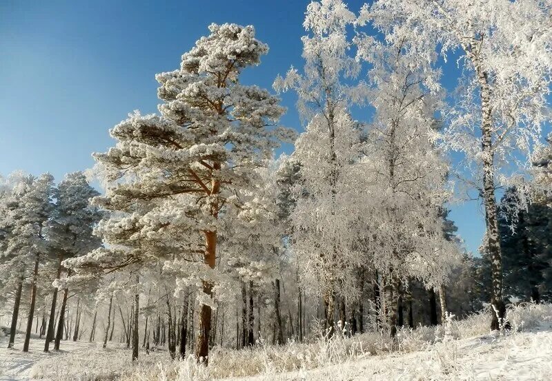 Зима мороз. Слушать песню зима морозная. Морозною зимой. Девушка зима. Морозный воздух.