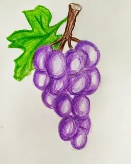 Как легко нарисовать виноград