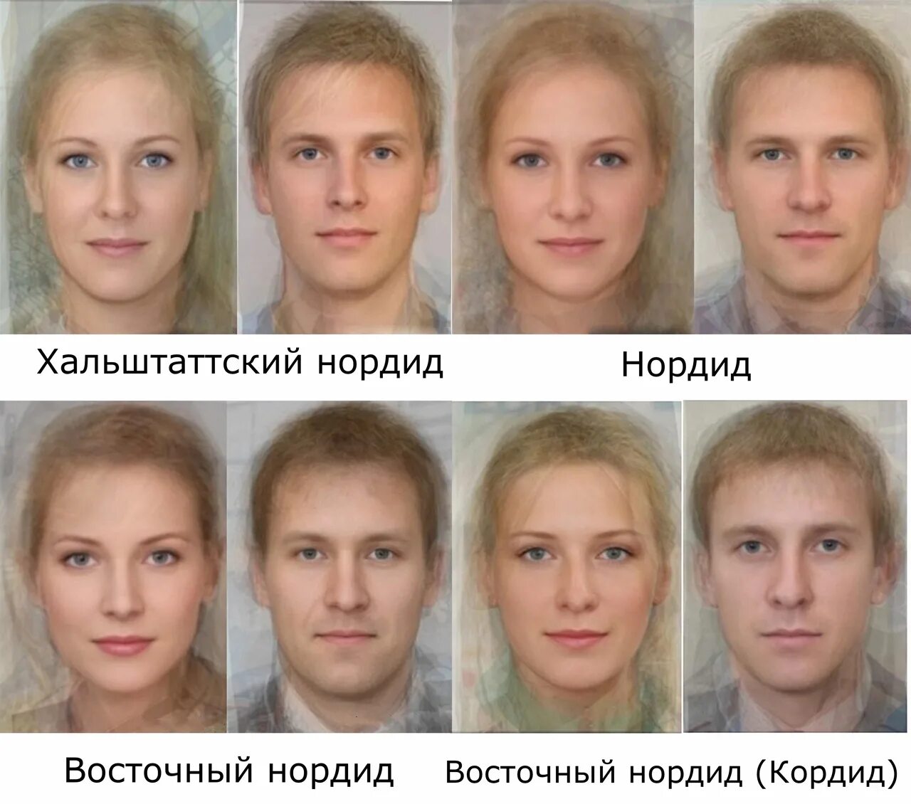 Афроамериканцы фенотипы. Северные черты лица. Северный понтид тип внешности. Фенотипы людей белой расы. Цвет кожи европейцев.