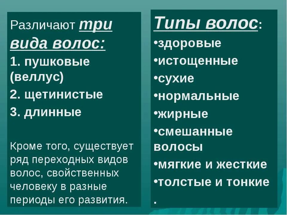 Как отличать волосы. Виды волос. Типы волос сухие жирные. Классификация волос. Три типа волос.