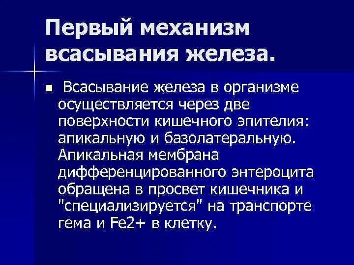 Переваривание и всасывание железосодержащих хромопротеинов. Переваривание и всасывание железосодержащих хромопротеинов