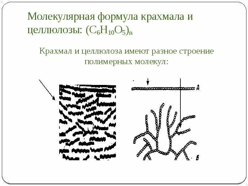 Строение молекулы крахмала и целлюлозы. Молекулярная формула крахмала и целлюлозы. Формула крахмала и целлюлозы. Формула молекул крахмала и целлюлозы. Средняя молекулярная масса крахмала и целлюлозы.