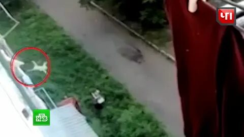Дети выпавшие из окна