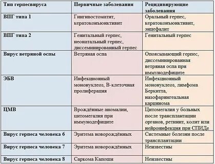 6 вирусов человека