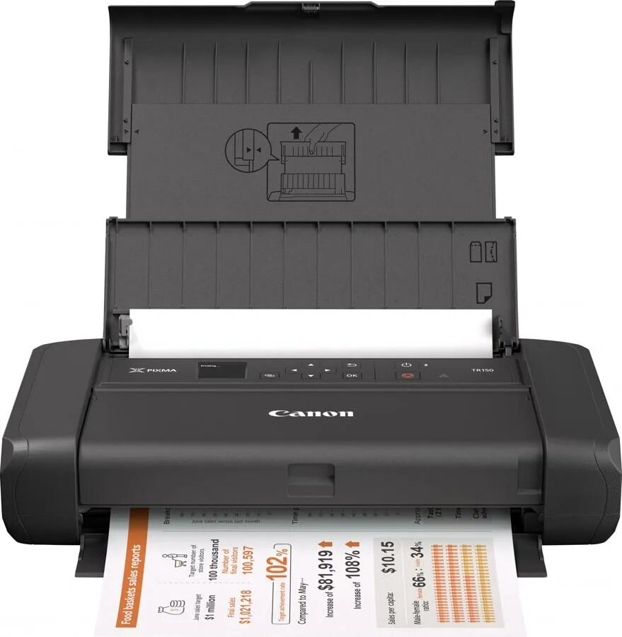 Принтер Canon tr150, черный. Canon PIXMA принтер мобильный. Мобильный принтер а4 для автомобиля. Компакт принтер