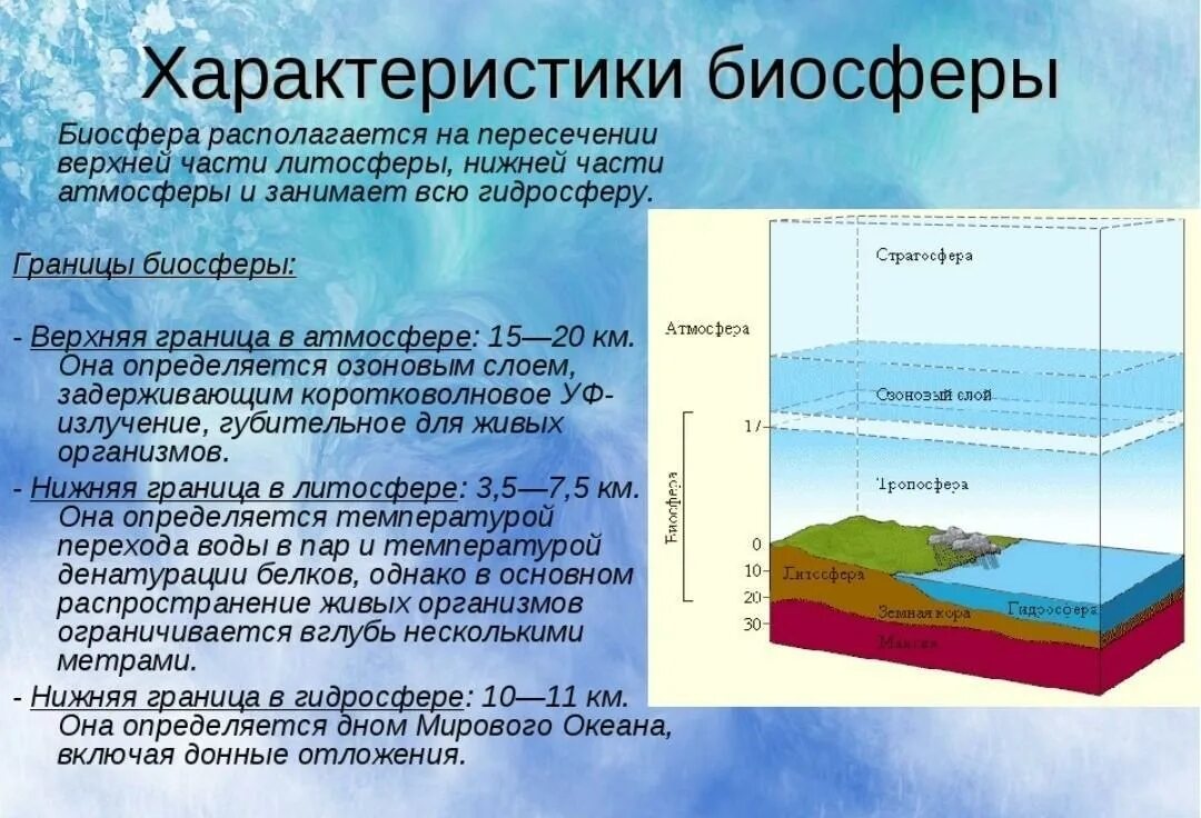 Слова на тему биосфера. Характеристика биосферы. Нижняя граница биосферы в литосфере. Характеристика границ биосферы. Структура и границы биосферы схема.