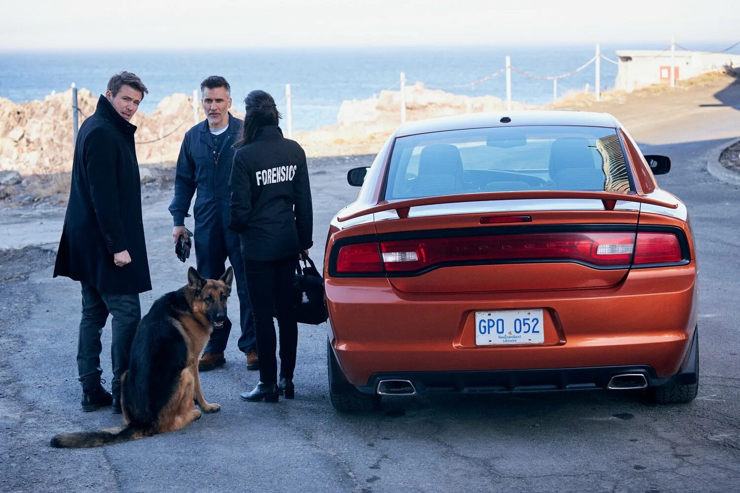 Т рекс что за машина. Хадсон и рекс сериал с 2019 г. Подобрать автомобиль. С приобретением автомобиля. Аренда авто rex.