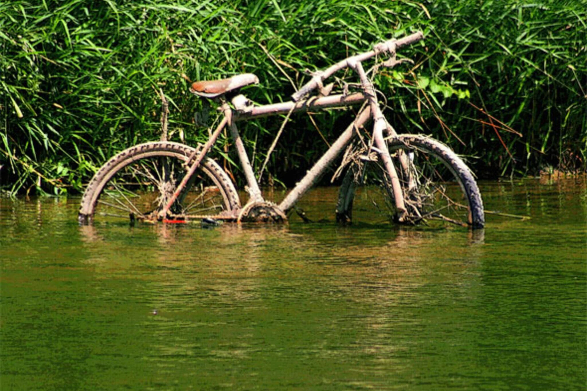 Велосипед у реки. Велосипед River Bike. Утопленный велосипед. Утопила велосипед. River bike