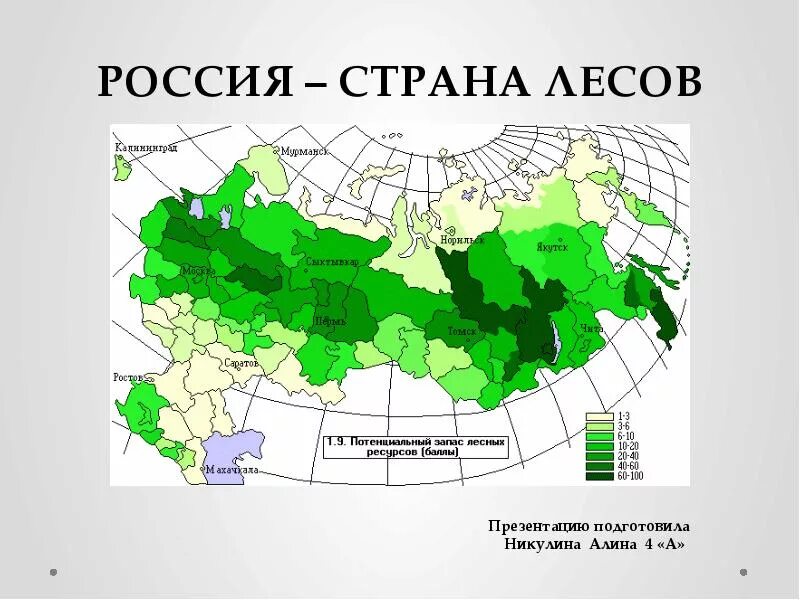 Страны без лесов. Карта лесов России. Леса на территории России. Зона лесов на карте России. Леса России расположение.