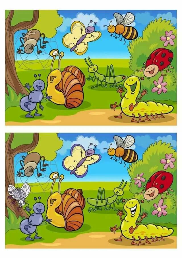 Finding differences