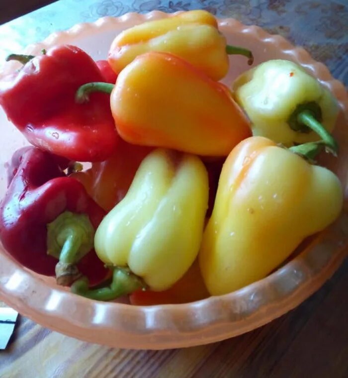 Сладкий перец без масла. Перец болгарский сорт кубанский. перец сладкий белозерка. перец домашний болгарский. сладкий перец на зиму.