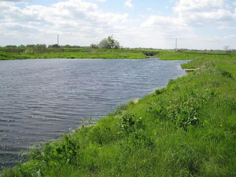 быково золотово