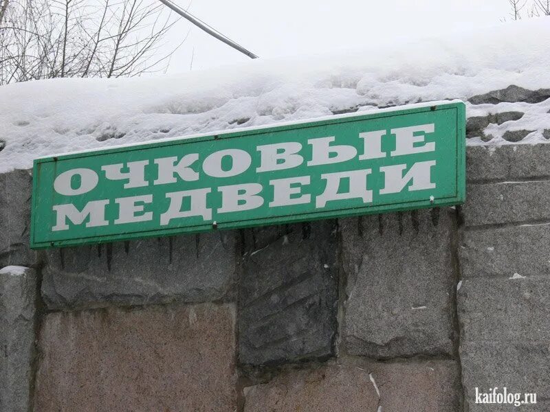 Kaifolog net