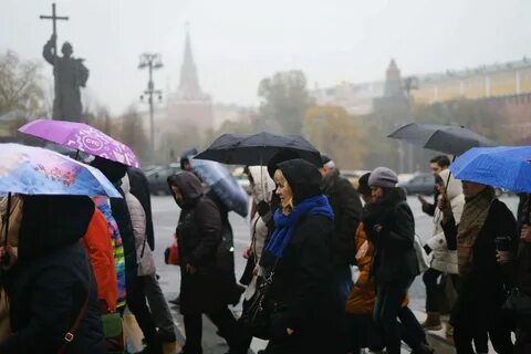Погода 23 ноября в москве