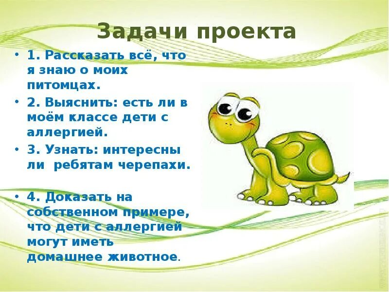 Черепаха рассказ 3 класс. Проект Мои домашние питомцы черепаха. Проект про черепаху 1 класс. Проект про домашних животных черепаха. Проект Мои домашние питомцы 1 класс Черепашки.