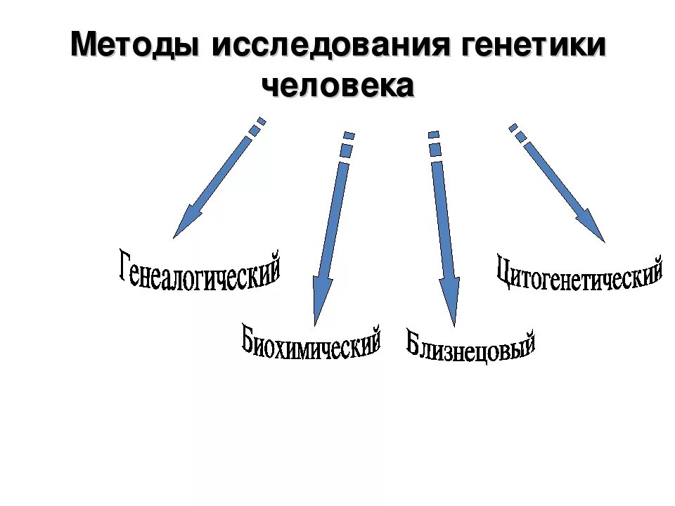 Какой метод генетики используют. Генетический метод исследования генетики человека. Методы изучения генетики схема. Методы исследования генетики человека схема. Методы генетики человека таблица.