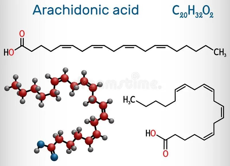 Арахидоновая кислота структурная формула. Арахидоновая кислота структура. Химическое строение арахидоновой кислоты. Формула арахидоновой кислоты