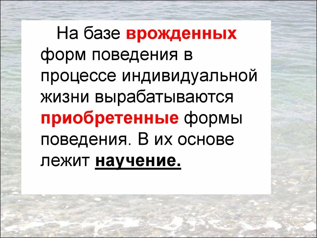 Врожденные формы поведения 8. Врожденные формы поведения. Приобретенные формы поведения. Приобретенные формы поведения и научение. Врожденные формы поведения формы поведения.