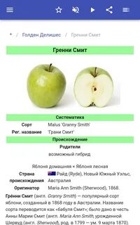 Сколько существует сортов яблок
