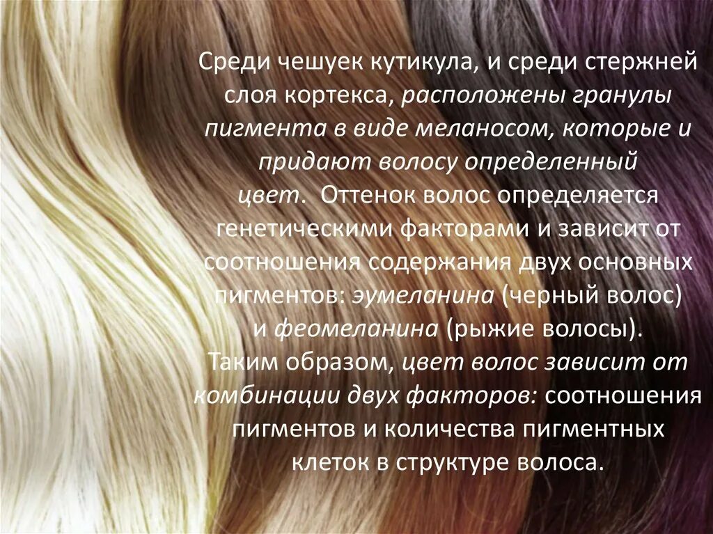 Меланин цвет волос. Эумеланин и феомеланин пигмент. Меланин и феомеланин. Меланин цвет волос. Типы меланина в волосах.