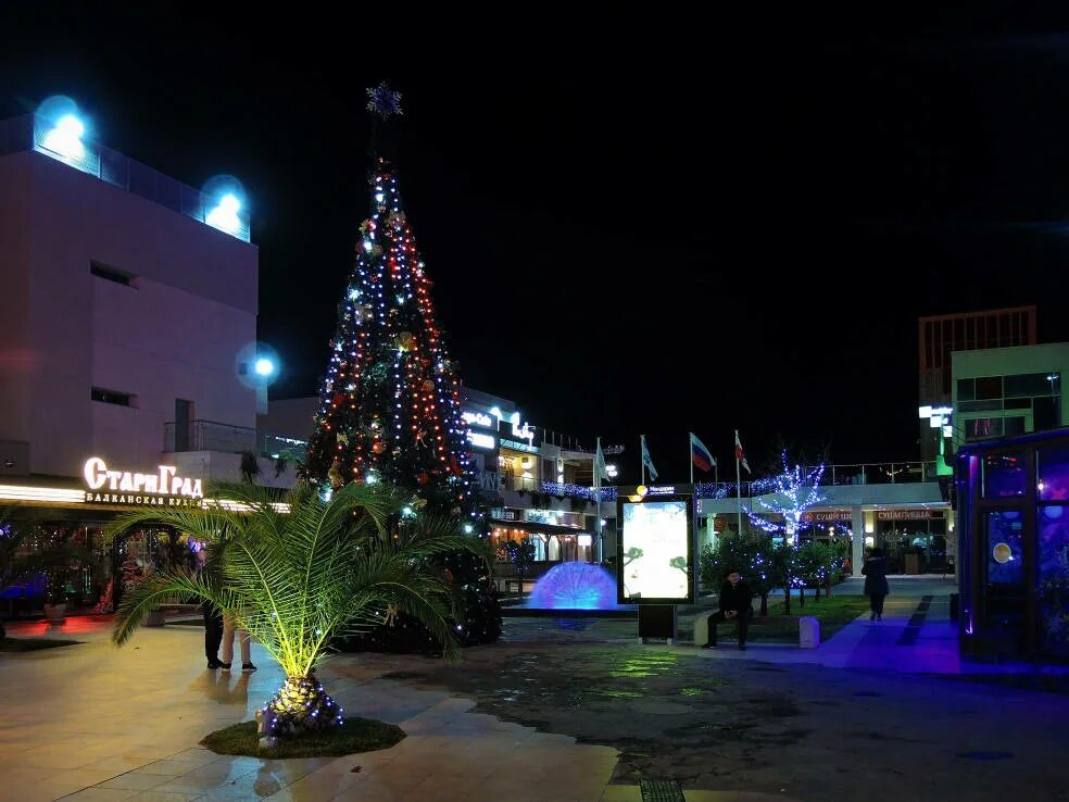 встретить новый год в адлере. встретить новый год в адлере. новый год в адлере. новогодний сочи адлер. лет в адлере.