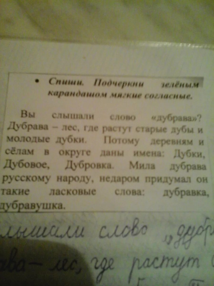 Предложение со словом Дубрава и дуб. Предложение со словом дуб 2 класс. Предложение со словом Дубок. Составить предложение со словом дуб и Дубрава. Проверить слово дуб