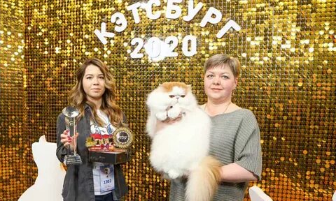 Выставки 2020 год