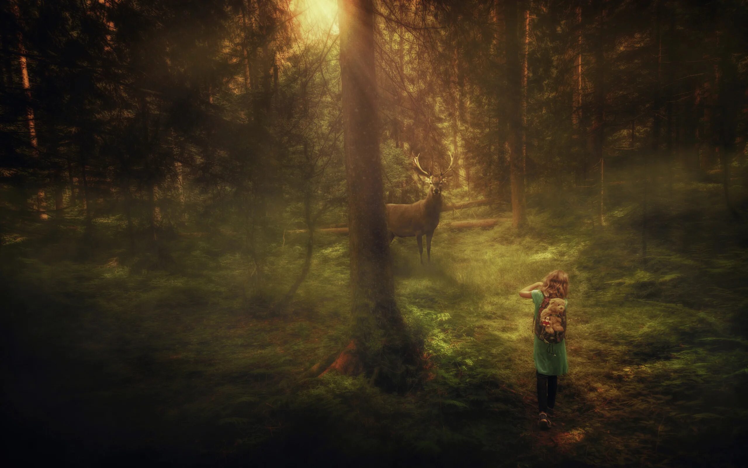 Девочка в лесу. Прогулки по лесу. Девочка в дремучем лесу. Человек на Поляне в лесу.