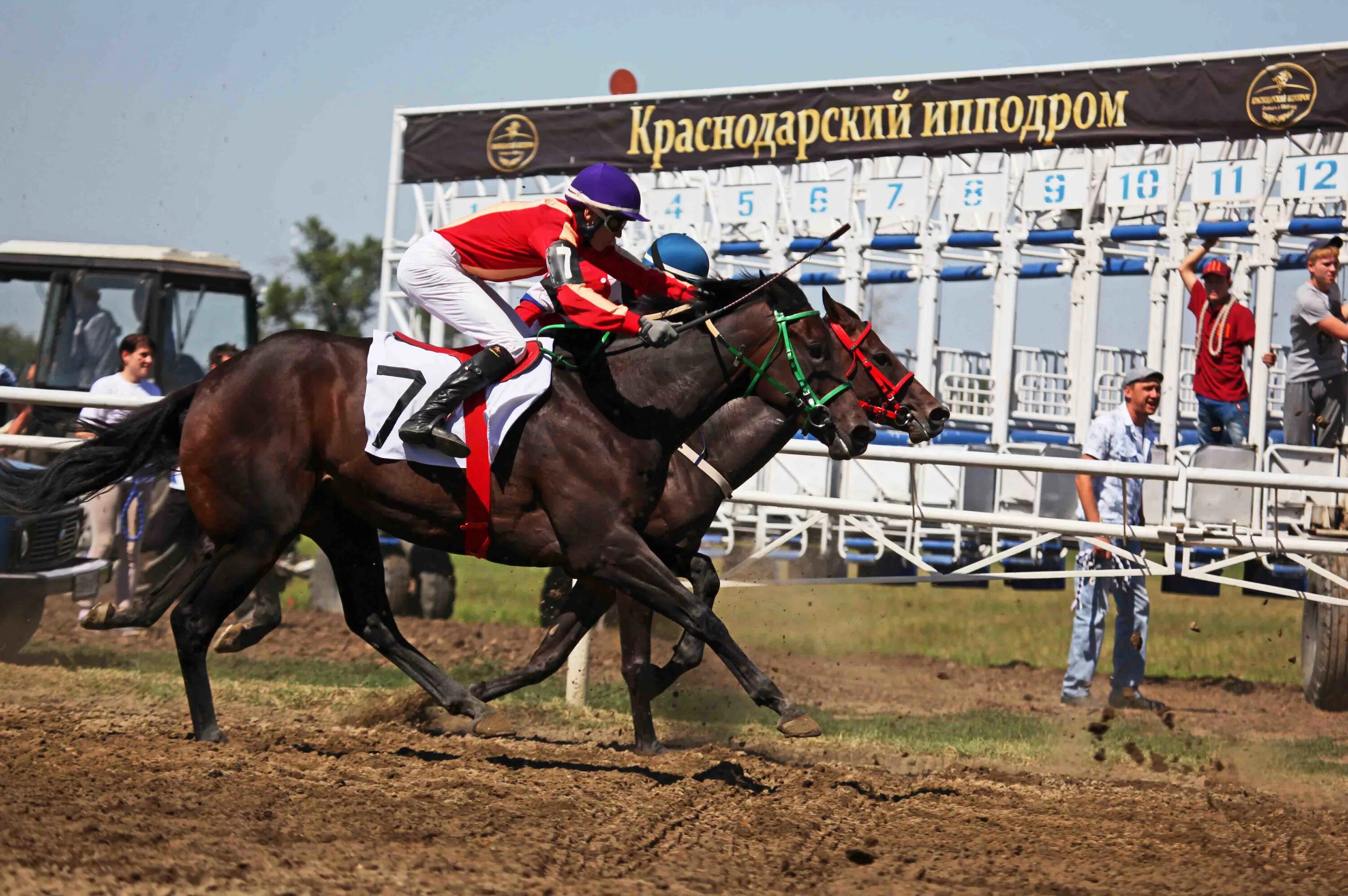 ипподром махачкала