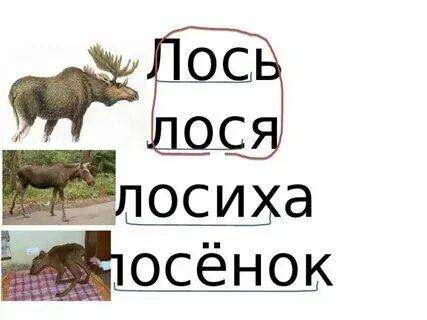 Схема к слову лось