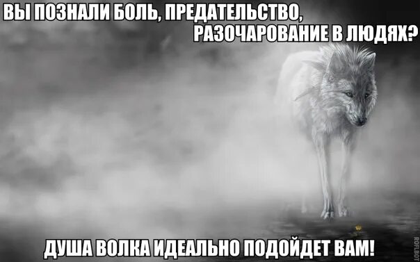 Верди развод боль предательство. Боль предательства. Познал боль. Разочарование и предательство. Заставка предательство.