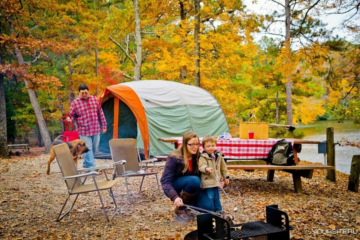 Camping questions. Мартьянково кемпинг. Палаточный лагерь Висимские Поляны. Осенний кемпинг. Кемпинг парк.