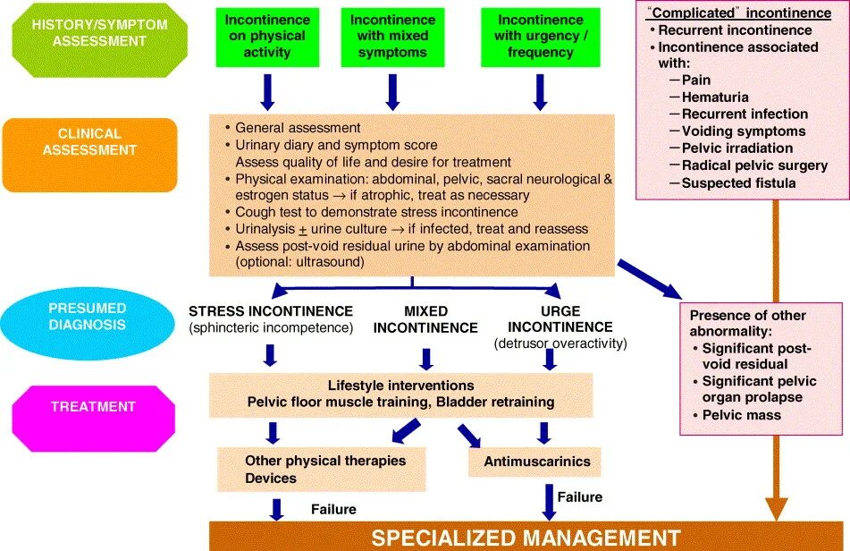 Assessment and treatment. Assessment and treatment. Approach to the patient with syncope. Assessment and treatment. Abcde assessment erc.