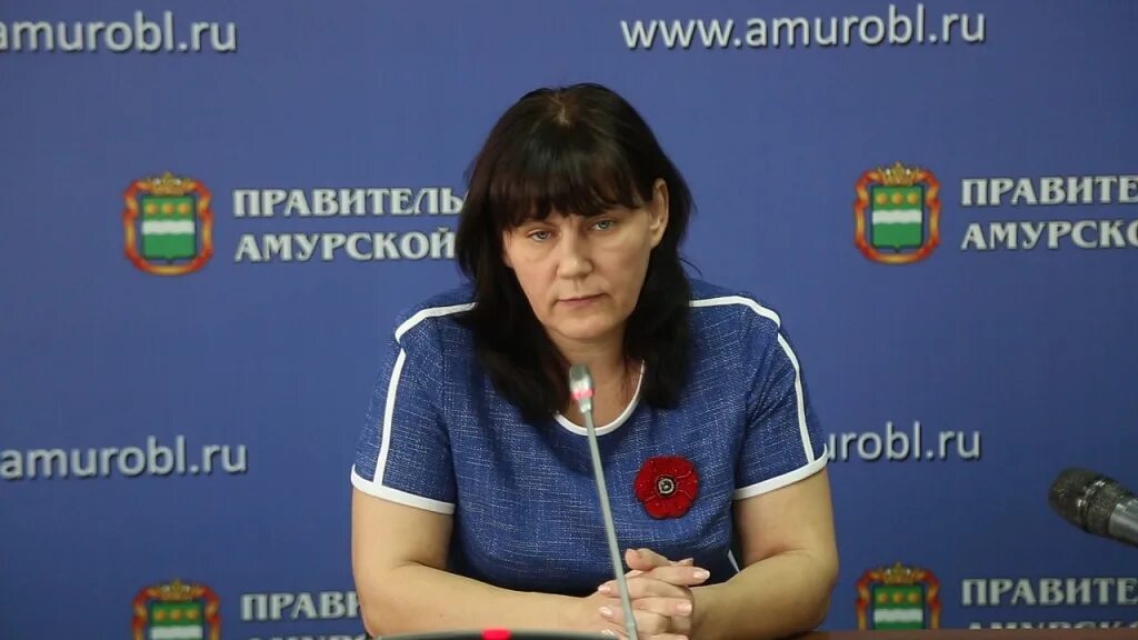 Г зея амурская область микрорайон светлый. Служба занятости амурская область. Служба занятости амурская область. Амурская обл. Томск занятость населения карта.