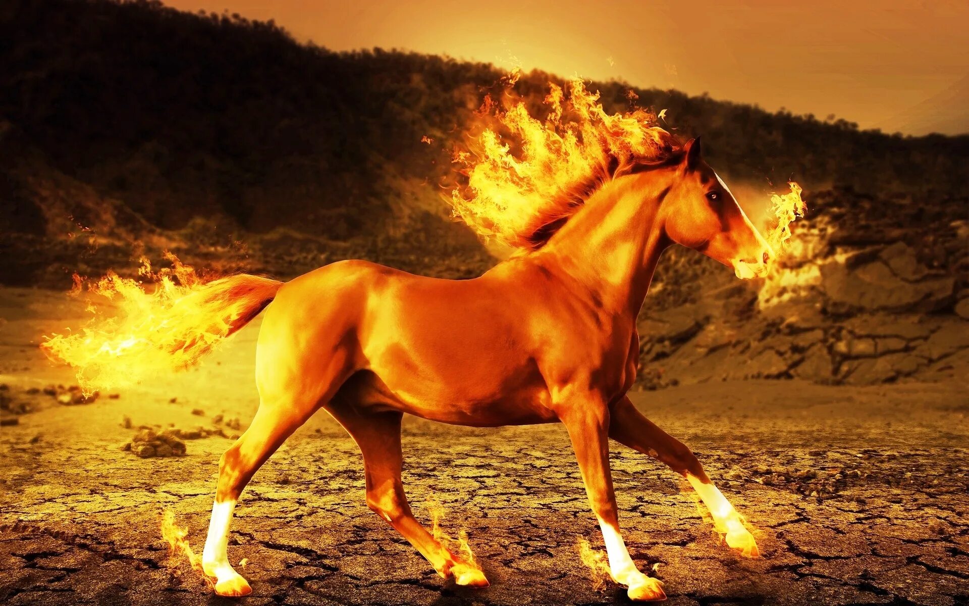 Год лошадь видео. Огненный конь. Огненная лошадь. Лошади на заставку. Оранжевый конь.