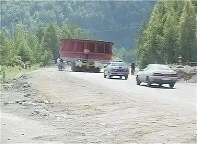 Линза по дороге из саяногорска в черемушки. Саяногорск трасса. Трасса Саяногорск Черемушки. Движение первых Саяногорск. Медведи на дороге Саяногорск-Черемушки.