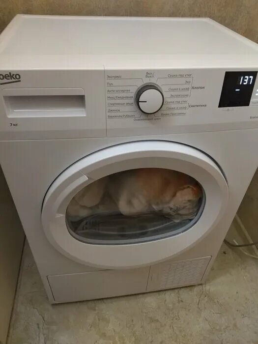 сушильная машина beko df 7412 ga, белый. сушильная машина beko df 7412 ga, белый. Beko df. сушильная машина beko df7412ga серебристый. сушильная машина beko.