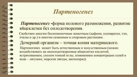Видами партеногенеза являются