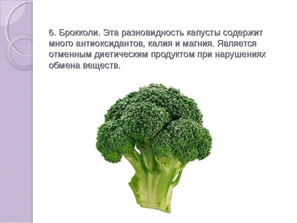 Капуста брокколи витамины. Брокколи витамины. Полезные витамины в брокколи. Чем полезна брокколи для организма. Чем полезна брокколи.