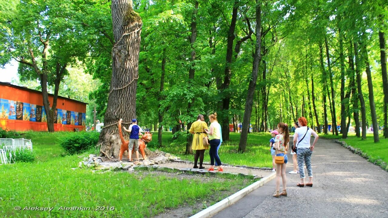 Сайт парка пенза. ЦПКИО Белинского Пенза. Парк Белинского тропа здоровья. Тропа здоровья Пенза. Пенза Пензенская область парк Белинского.