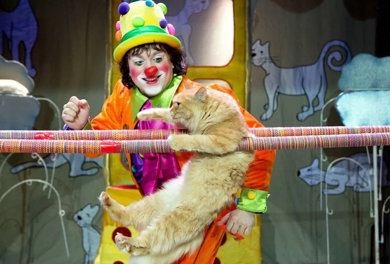 Выступление куклачева с кошками. Театр Юрия Куклачева.