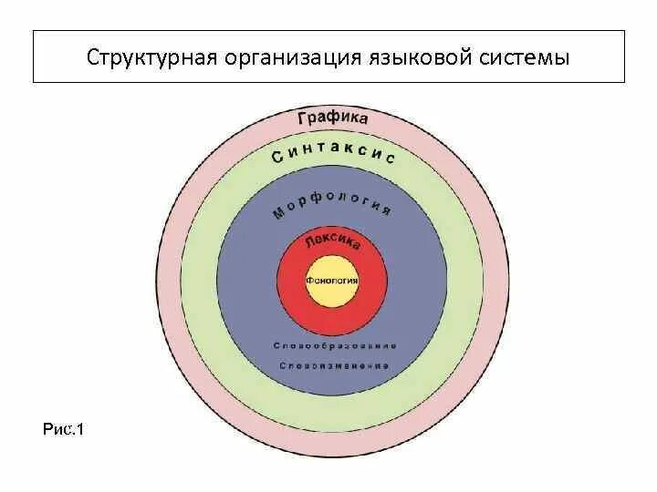 Язык как система структура языковой системы. Структурная организация языка. языковая система. языковая система схема. системно-структурная организация языка.