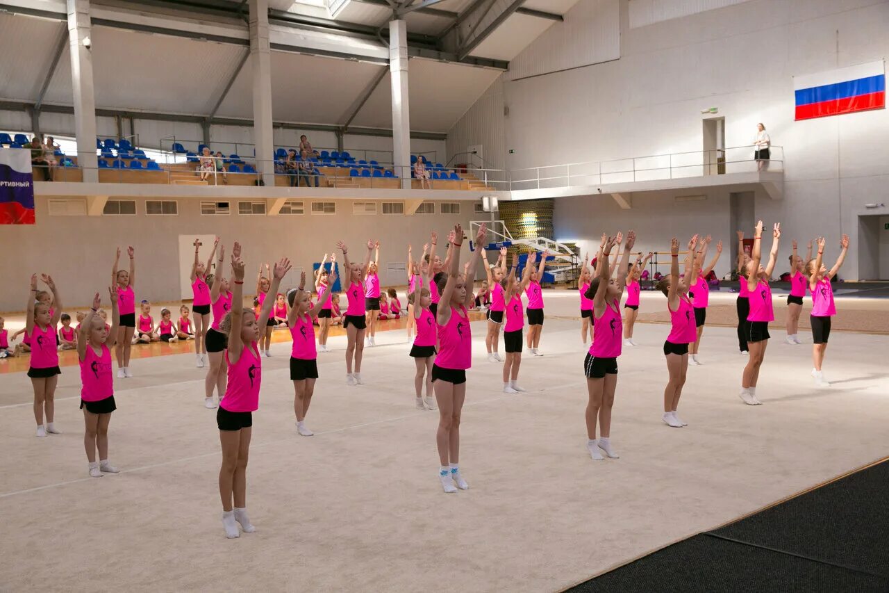 школа эстетической гимнастики резонанс воронеж. резонанс эстетическая гимнастика воронеж. эстетическая гимнастика воронеж калинка. школа эстетической гимнастики резонанс воронеж. детская футбольная школа динамо воронеж.