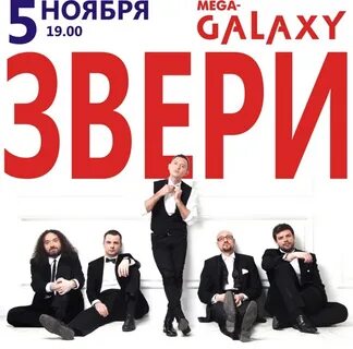 13 ноября звери тверь