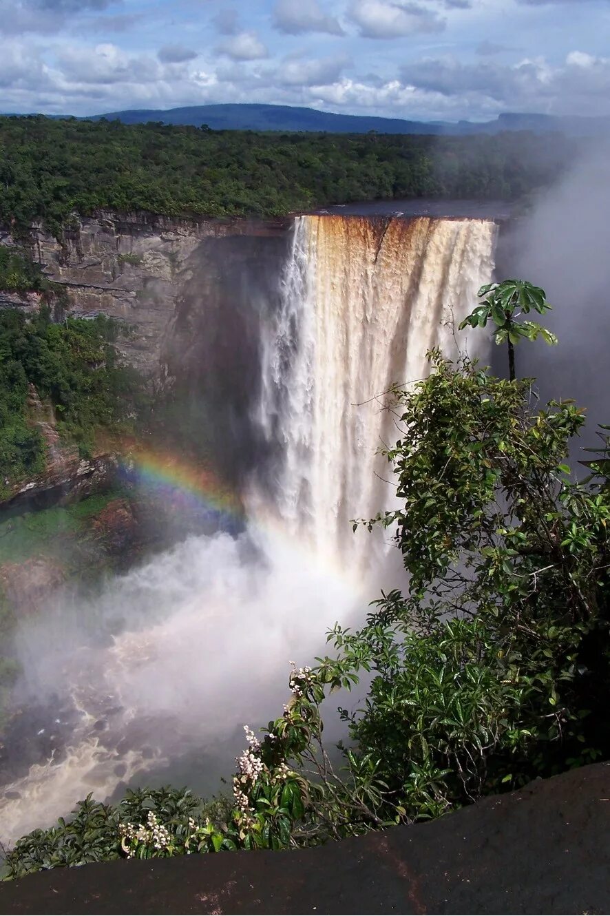 Самый высокий водопад гвианском плоскогорье. Национальный парк Кайетур Гайана. Водопад Кайетур. Водопад Тепуи. Гвианский водопад.