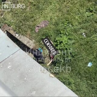 Пушкино женщина выпала из окна