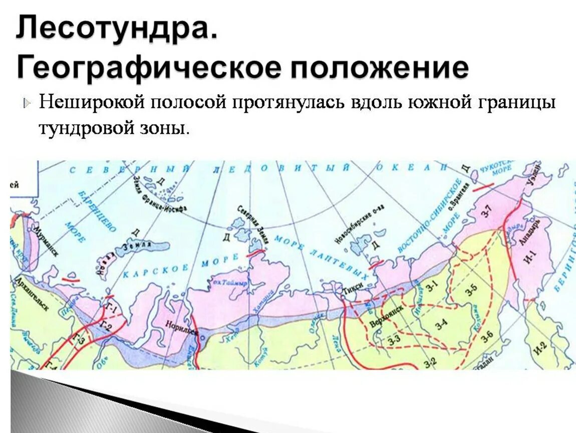 Расселение лесотундры. Географическое положение зоны лесотундры в России. Географическое положение зоны тундры и лесотундры в России. Географическое положение лесотундры в России на карте. Зона лесотундры географическое положение.