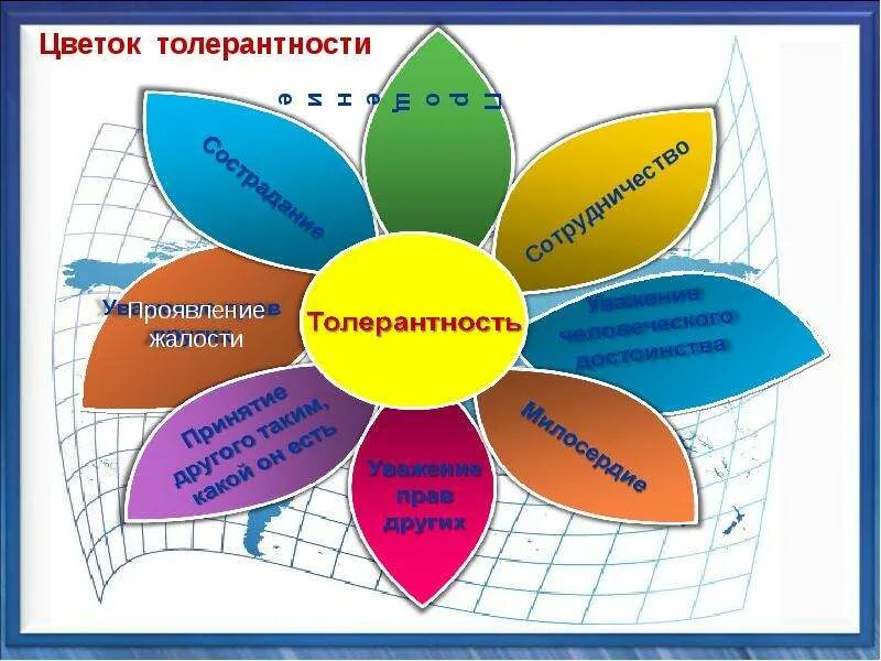 Рост толерантности пав. Цветок толерантности. Цветок толерантности презентация. Цветок толерантности в школе. Цветок толерантности шаблон.