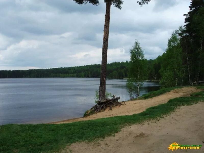 Пасторское озеро сайт. Пасторское озеро пляж. Пасторское озеро СПБ. Пасторское озеро база отдыха. Пионерлагерь Белочка пасторское озеро.